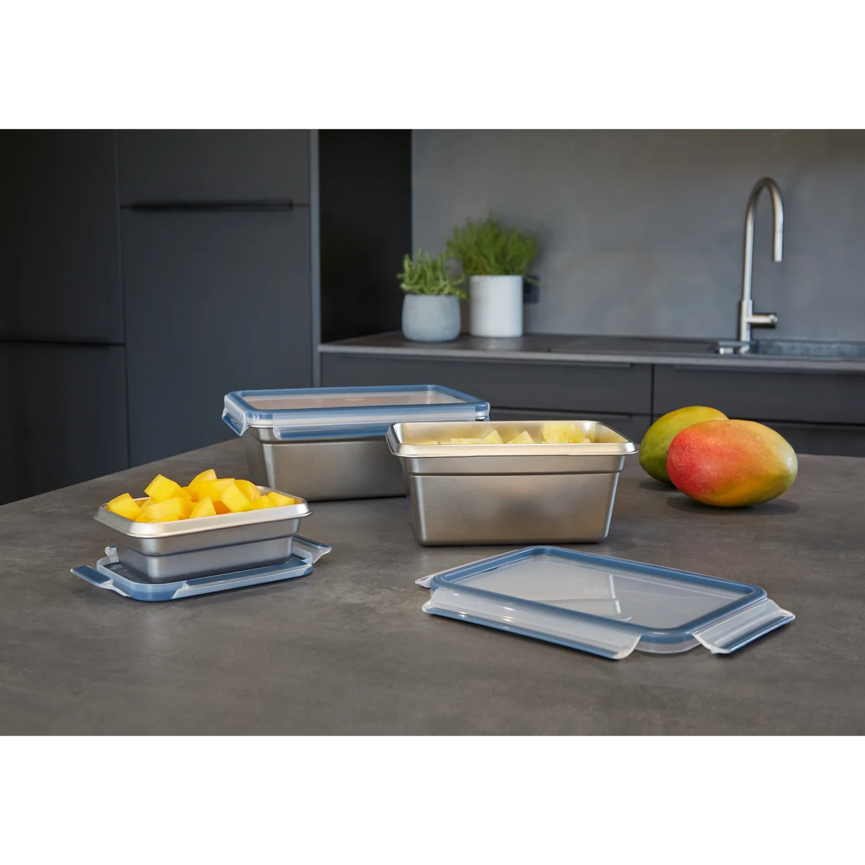 WMF Vorratsdosen|EMSA CLIP & CLOSE Edelstahl Frischhaltedose 2,0 l N11506