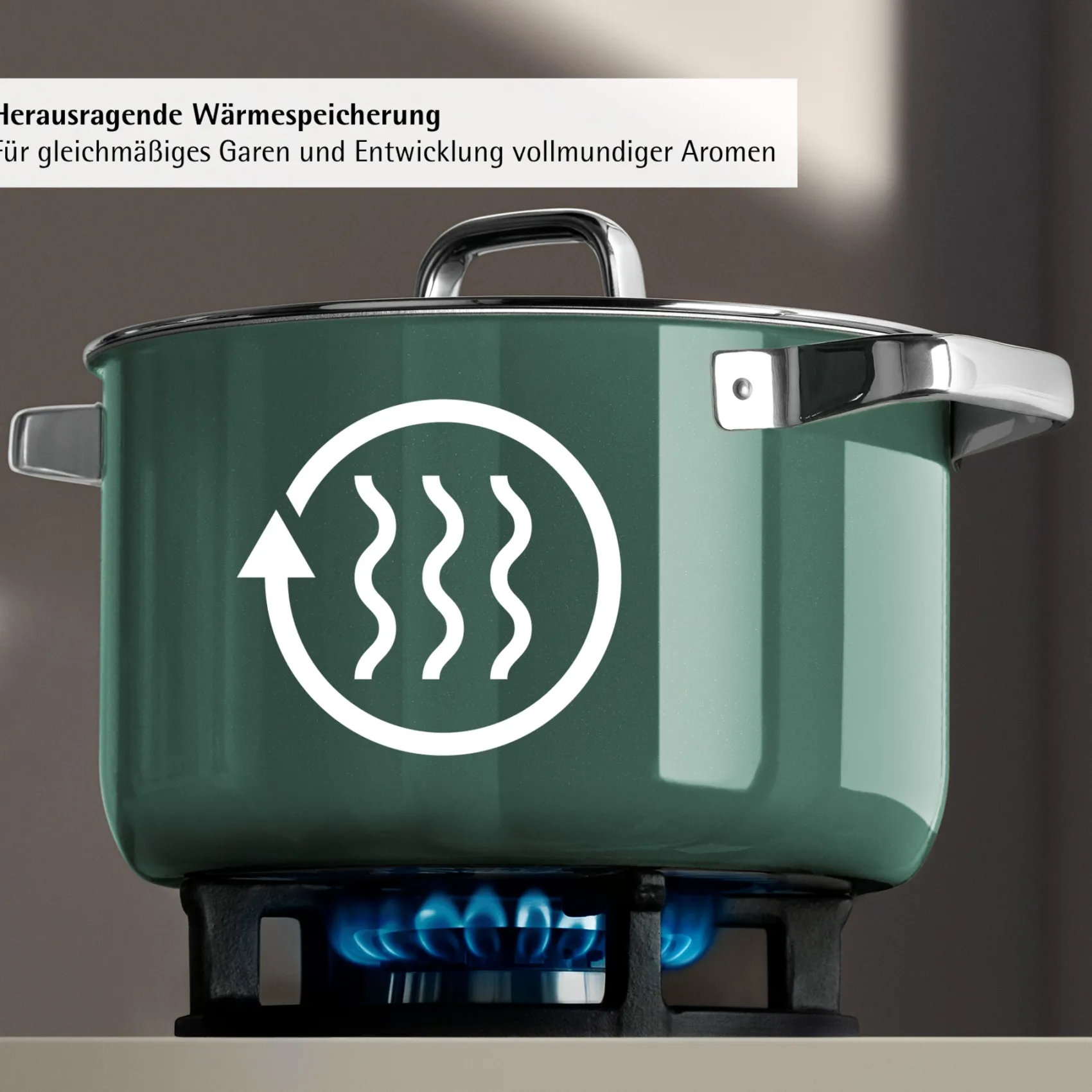 WMF Induktionstöpfe|Fusiontec Mineral Pro, Bratentopf mit Deckel, 24 cm, Eucalyptus Haze