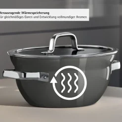 WMF Kochtöpfe|Induktionstöpfe|Fusiontec Mineral Pro, Kochschüssel mit Deckel, 20 cm, Platinum