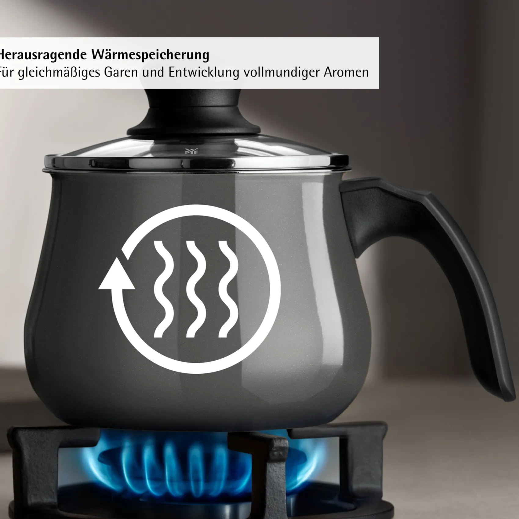 WMF Induktionstöpfe|Fusiontec Mineral Pro, Mini-Topf mit Deckel, 12 cm, Platinum