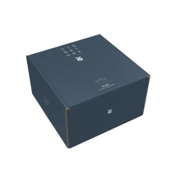 WMF Kochtöpfe|Induktionstöpfe|Iconic Kochtopf mit Deckel, 22 cm